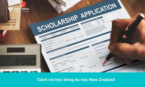 Cách xin học bổng du học New Zealand