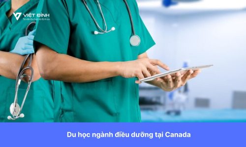 Du học ngành điều dưỡng tại Canada