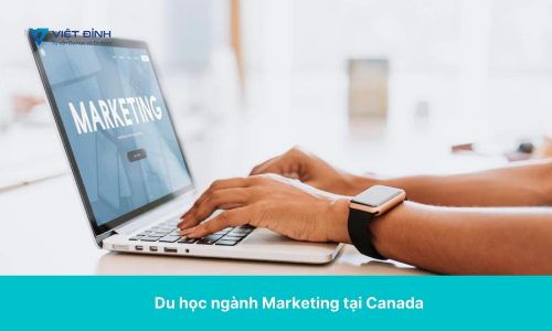 Du học ngành Marketing tại Canada