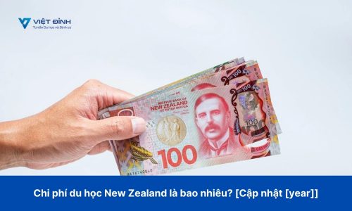 Chi phí du học New Zealand là bao nhiêu? [Cập nhật 2022]