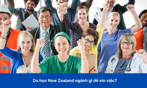 Du học New Zealand ngành gì dễ xin việc?