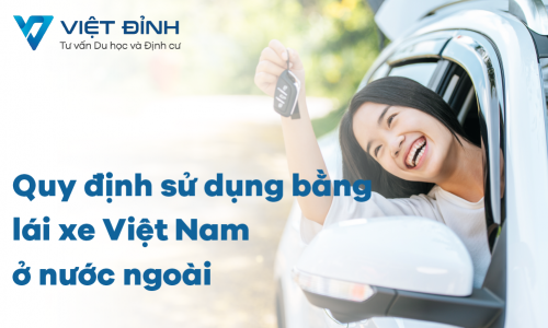 Quy định sử dụng bằng lái xe Việt Nam ở nước ngoài