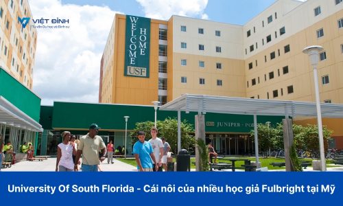 University Of South Florida – Cái nôi của nhiều học giả Fulbright tại Mỹ