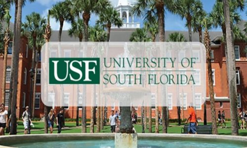 Trường đại học University Of South Florida (USF)
