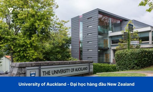 The University of Auckland – Đại học hàng đầu New Zealand