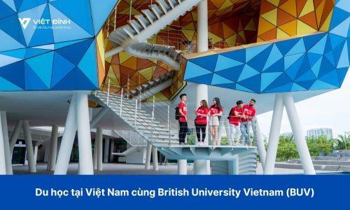 Du học tại Việt Nam cùng British University Vietnam (BUV)