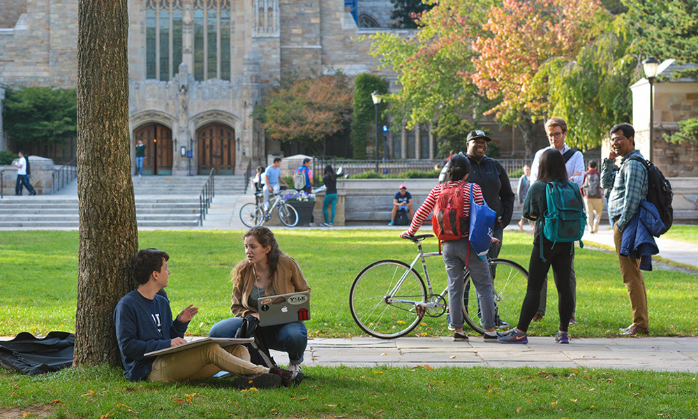 Yale University cung cấp nhiều hình thức đào tạo khác nhau cho sinh viên lựa chọn